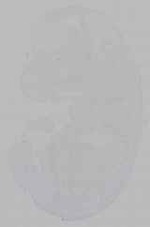 EMAGE:15988