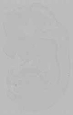 EMAGE:15992