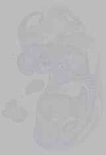 EMAGE:16002