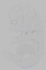 EMAGE:16004