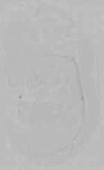 EMAGE:16004