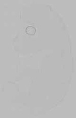 EMAGE:16006
