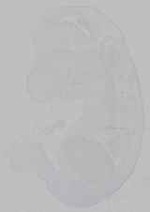 EMAGE:16009