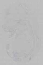 EMAGE:16022