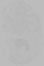 EMAGE:16038