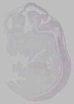 EMAGE:16039