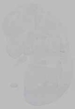 EMAGE:16045