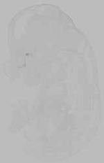 EMAGE:16093