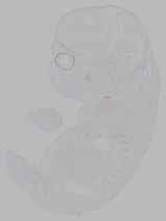 EMAGE:16128