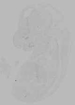 EMAGE:16128