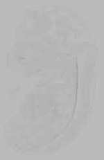 EMAGE:16128