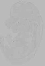 EMAGE:16128