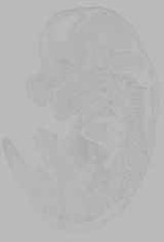 EMAGE:16128