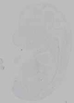 EMAGE:16129