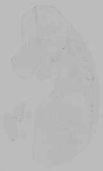EMAGE:16139