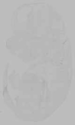 EMAGE:16148