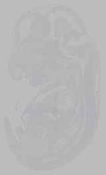 EMAGE:16149