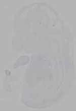 EMAGE:16156