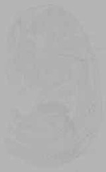 EMAGE:16156