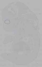 EMAGE:16166