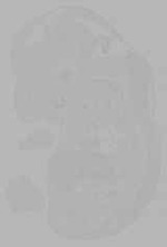 EMAGE:16166