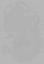 EMAGE:16166