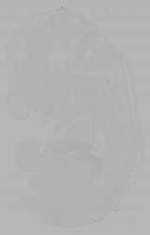 EMAGE:16166