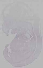 EMAGE:16187
