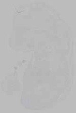 EMAGE:16205