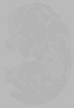 EMAGE:16220
