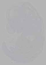 EMAGE:16229