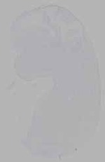 EMAGE:16229