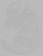 EMAGE:16232