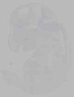EMAGE:16232