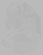 EMAGE:16232