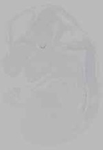 EMAGE:16232