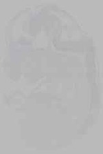 EMAGE:16232