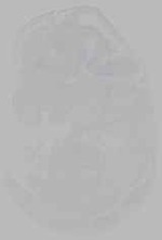 EMAGE:16232