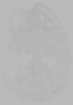 EMAGE:16232