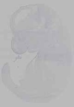 EMAGE:16232
