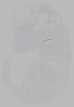EMAGE:16232