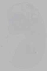 EMAGE:16232