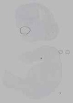 EMAGE:16232
