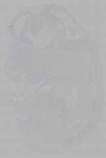 EMAGE:16233