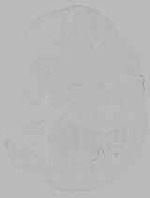 EMAGE:16234