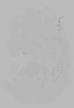 EMAGE:16234