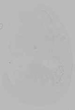 EMAGE:16234