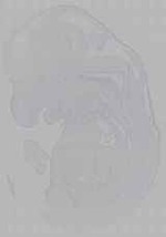 EMAGE:16239
