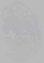 EMAGE:16240