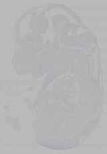 EMAGE:16246